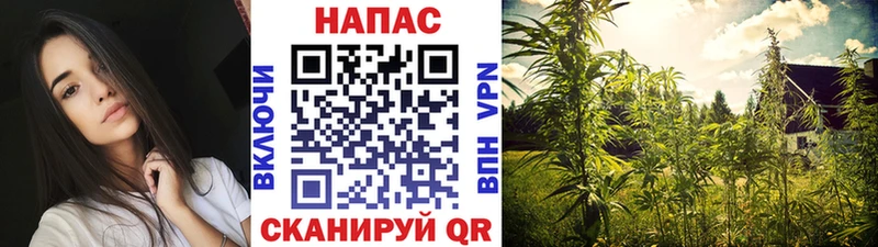 Виды наркотиков купить Бакал АМФЕТАМИН  Alpha PVP  Гашиш  MDMA  мега сайт  Кокаин  Бошки Шишки  Меф мяу мяу 