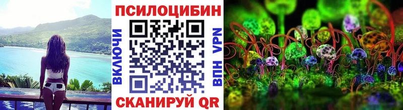 наркота Бакал Псилоцибиновые грибы Psilocybine cubensis